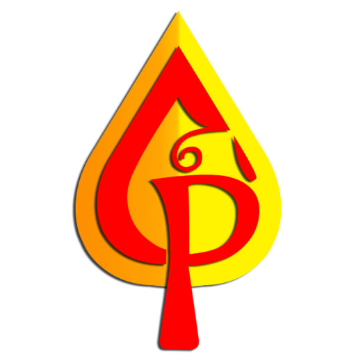 Camera Poinnt Logo